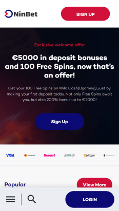 NinBet Screenshot