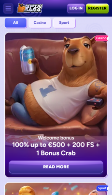 SpinBara Screenshot