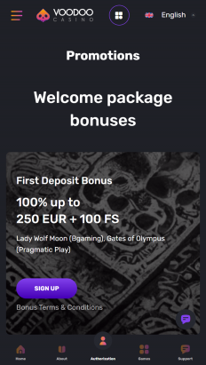 Voodoo Casino Screenshot