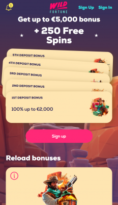 Wild Fortune Screenshot