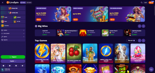 LiraSpin Screenshot