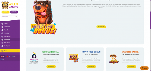 Wills Casino Screenshot