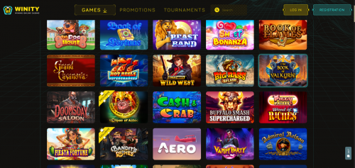 Winity Casino Screenshot