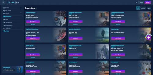 Wintopia Casino Screenshot